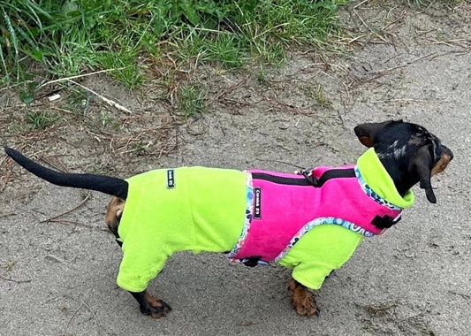 Dachshund fleece onesie 4 legged jumper
