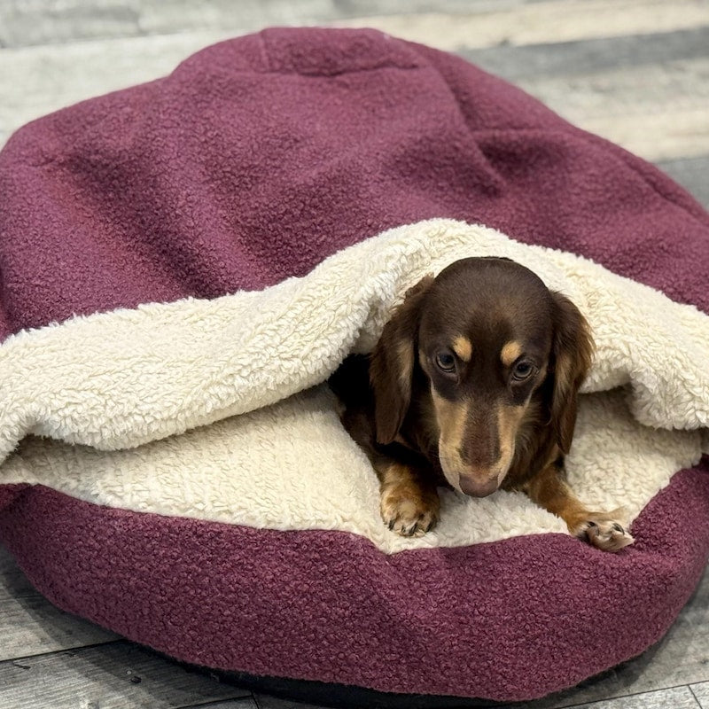 Snuggle sacks & beds