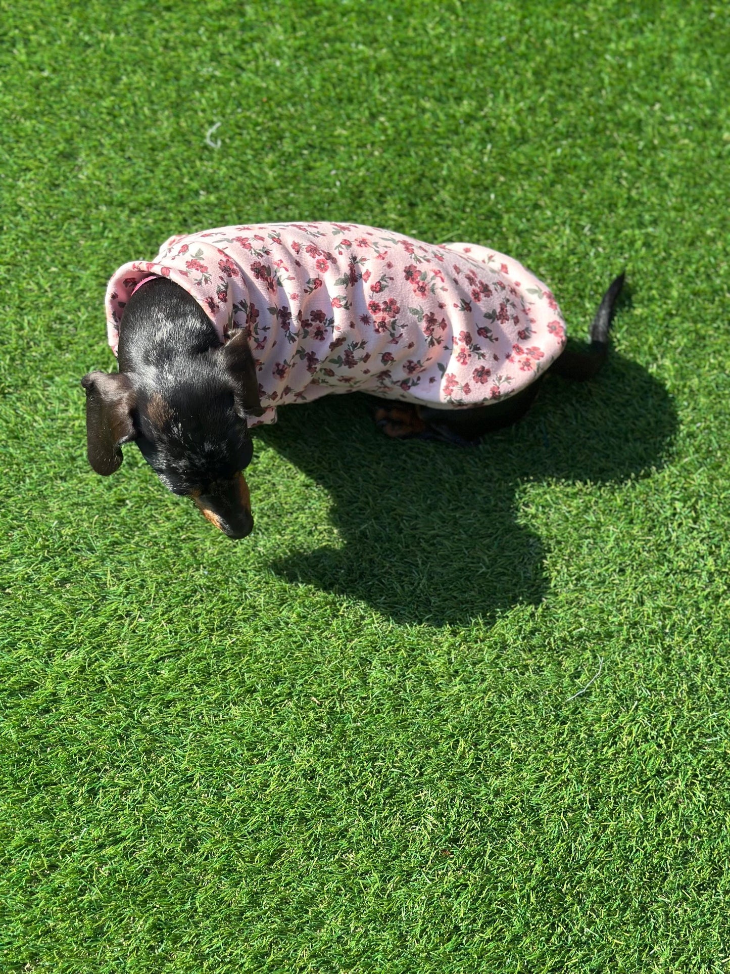 Floral Dachshund Fleece Jumper: Washable Dog Sweater