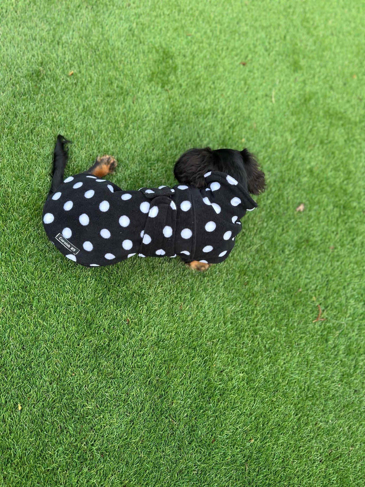 Fleece Dachshund Coat: Water Repellent Dog Jumper, Custom Fit
