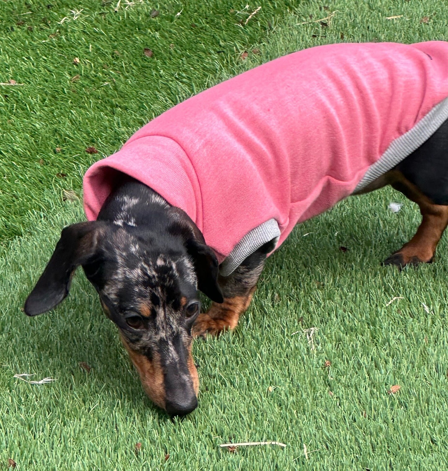 Dachshund Fleece Sweatshirt: Soft Washable Dog Jumper