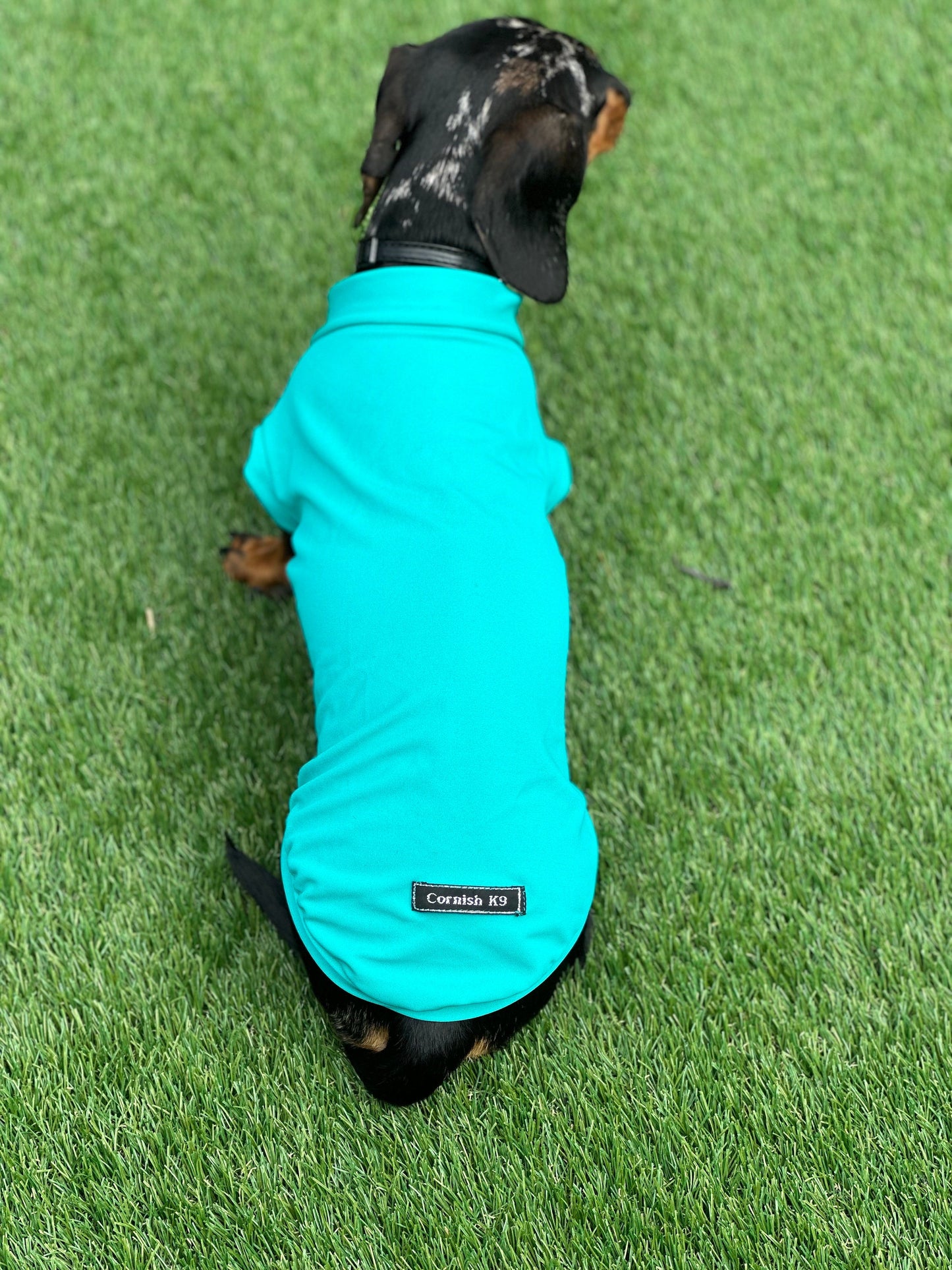 Dachshund Lycra Cooling Top: Moisture-Wicking Dog Jumper