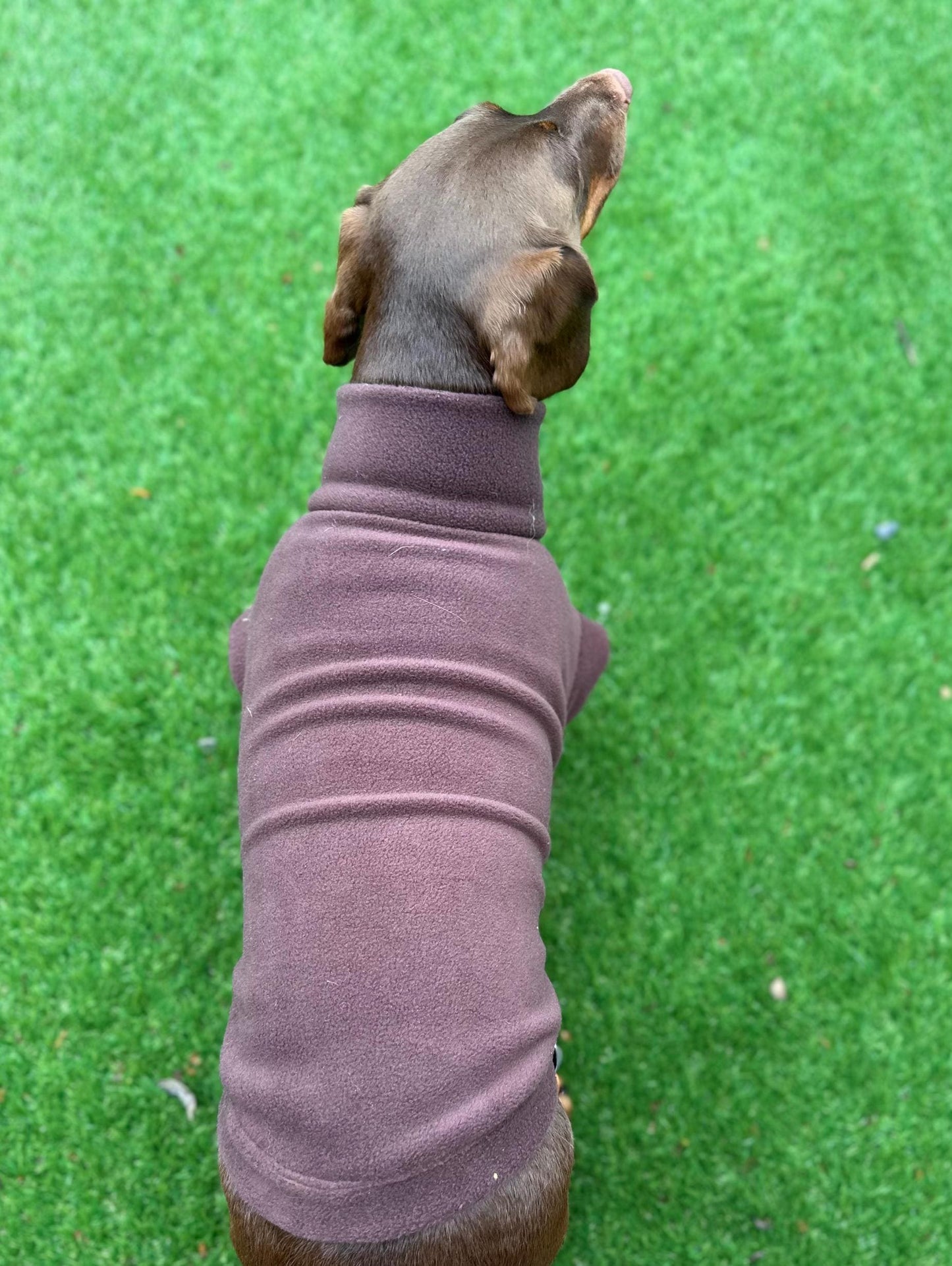 Waterproof Dachshund Fleece Jacket: Mud Repellent Soft Shell Tummy