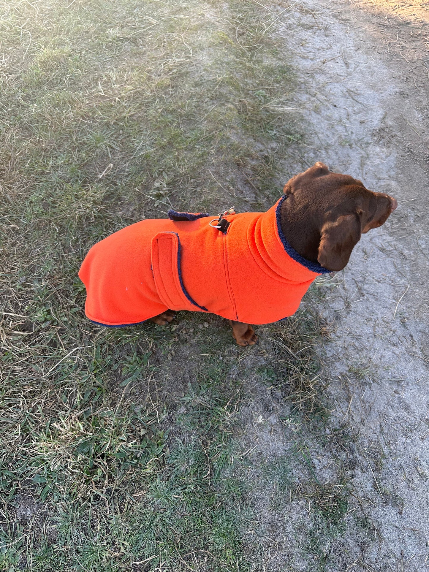 Dachshund Fleece coat ,dog drying coat , dog towel , dachshund drying coat, washable dog jumper,dog drying robe
