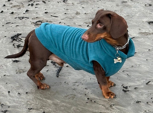 Dachshund open neck Fleece ,dachshund  tankies, daxie jumper, dachshund fleece ,washable dog jumper,Water & Mud Repellent dog suit