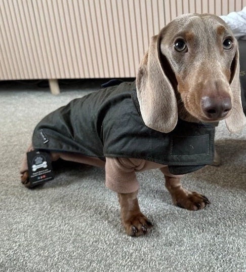 Waxed Cotton Dachshund Dog Coat: Waterproof Fleece Lined Winter Wear