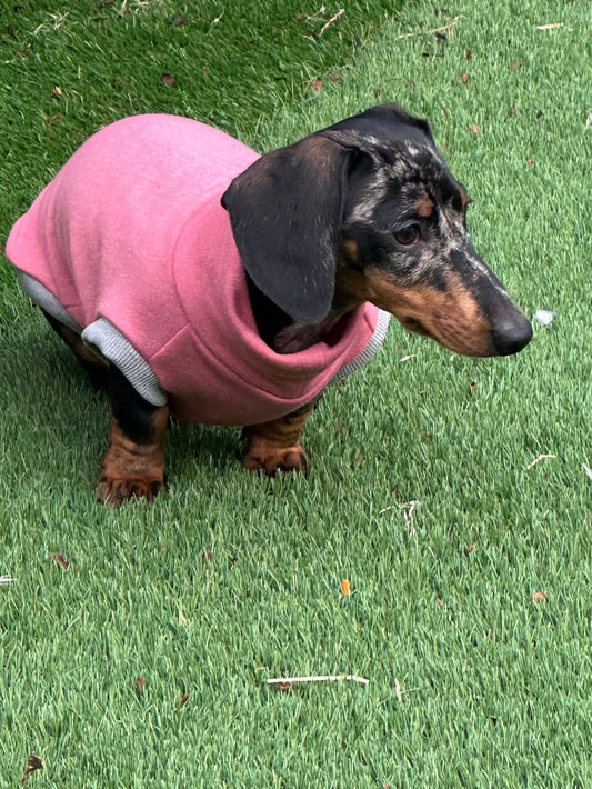 Dachshund Fleece Sweatshirt: Soft Washable Dog Jumper