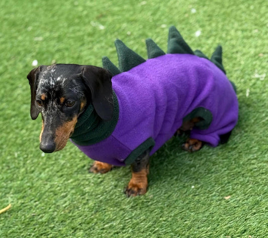 Dachshund Dino Fleece Onesie: Water Repellent Dog Jumpsuit