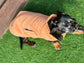 Corduroy Dachshund Coat: Fleece Lined Dog Jacket with Harness Hole