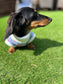 Dachshund Christmas jumper ,dog jumper ,breathable dog jumper, dog jacket,washable dog jumper,Water & Mud Repellent dog suit