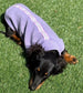 Reflective Fleece Dachshund Jumper: Washable Dog Coat