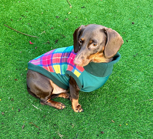 Tartan Dachshund Fleece Jumper: Waterproof Softshell Tummy, Cornish K9