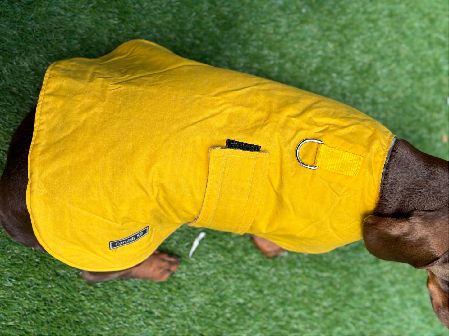 Waxed Cotton Dachshund Dog Coat: Waterproof Fleece Lined Winter Wear