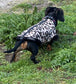 Dachshund  zipped Softshell waterproof  fleece ,dachshund zipped  jumper ,dachshund jacket,water and mud repellent fleece , dachshund fleece