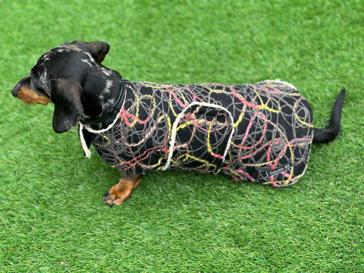 Tweed Dachshund Dog Coat: Sherpa Fleece Lined, Handmade Winter Jacket