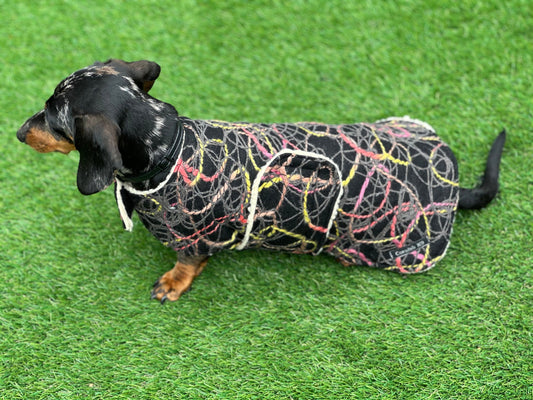 Tweed Dachshund Dog Coat: Sherpa Fleece Lined, Handmade Winter Jacket