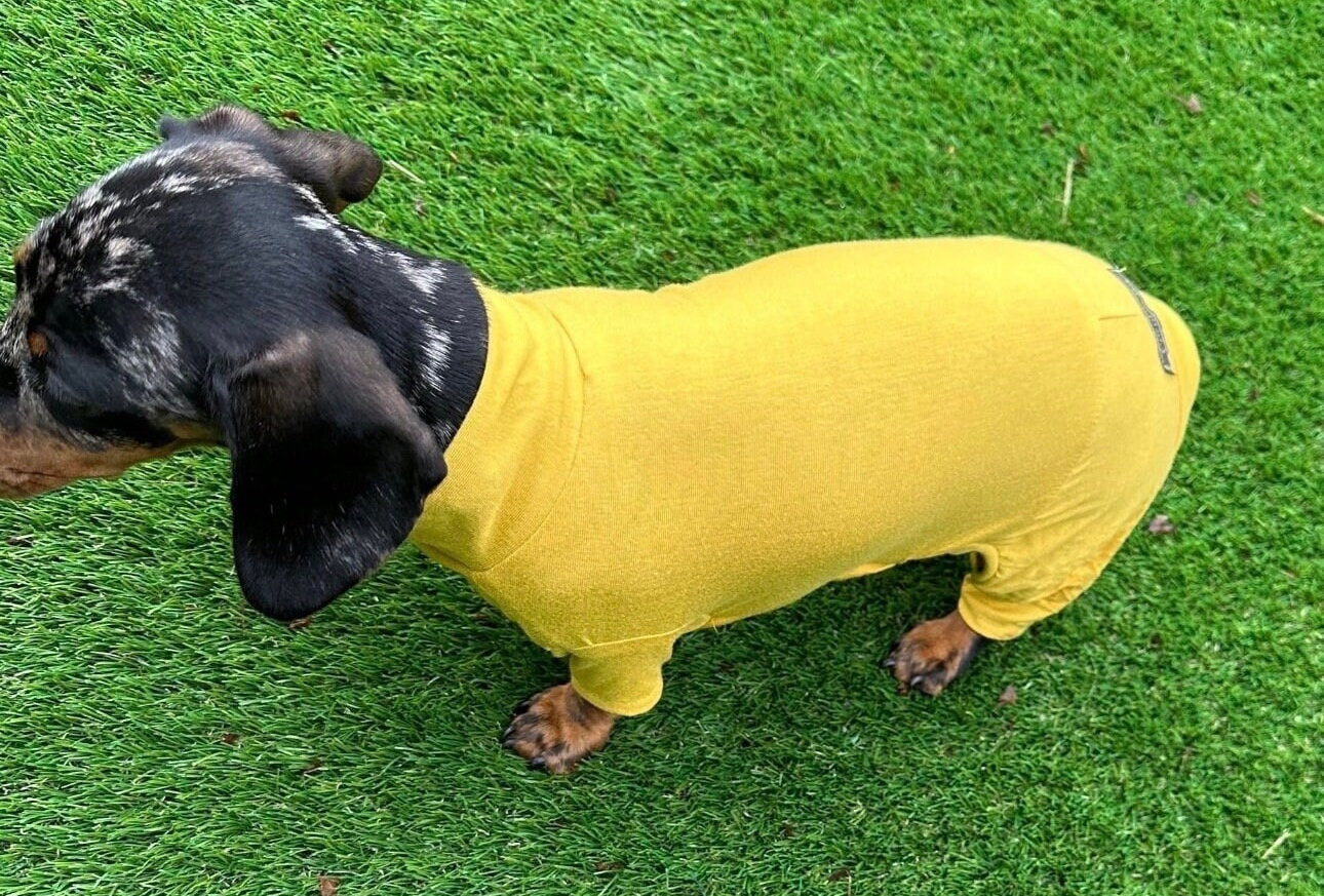 Bamboo Dog Onesie: Anti-Allergy Cooling Jumpsuit, Dachshund Pajamas