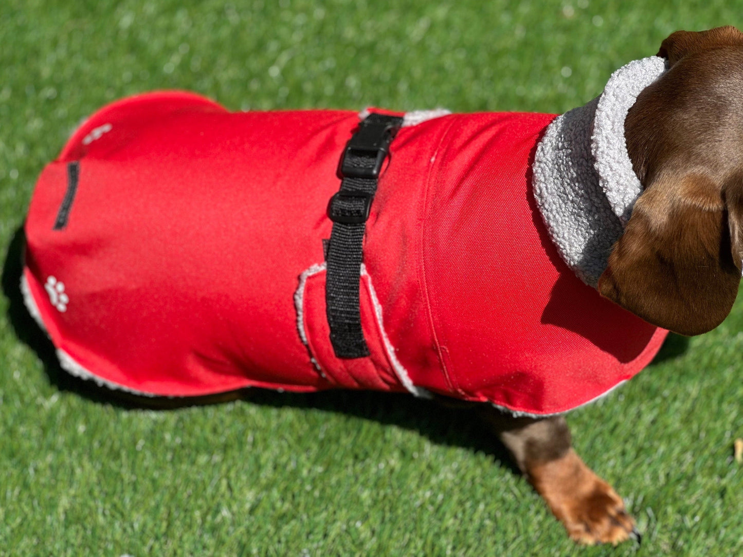 Dachshund waterproof coat, winter dachshund coat , dachshund coat ,small dog coat,sausage dog coat