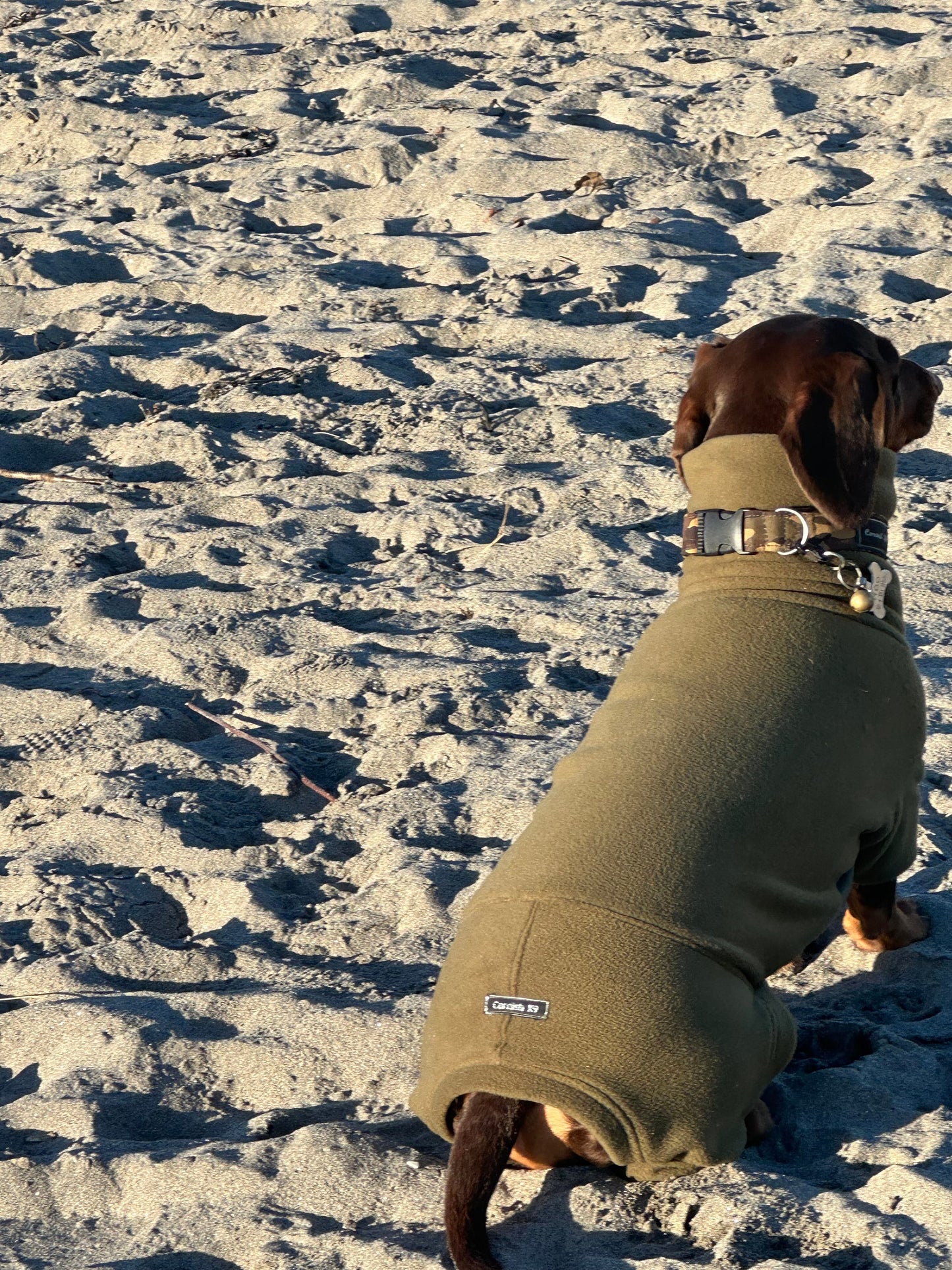 Mini Dachshund Fleece Onesie: Waterproof Tummy, Mud Repellent Dog Jumpsuit