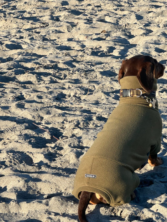 Mini Dachshund Fleece Onesie: Waterproof Tummy, Mud Repellent Dog Jumpsuit