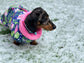 Dachshund chest covring Fleece coat ,dog jumper ,breathable dog jumper, dog jacket,washable dog jumper,Water & Mud Repellent dog suit