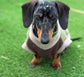 Personalized Dachshund Fleece Jumper: Water & Mud Repellent, Embroidered Name