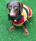 Dachshund Fleece Dog Jumper: Breathable, Washable, Open Neck