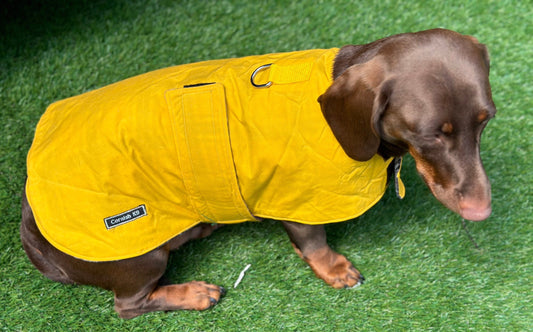 Waxed Cotton Dachshund Dog Coat: Waterproof Fleece Lined Winter Wear