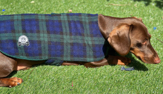 Tartan Fleece Dachshund Dog Coat: Water Repellent, Handmade