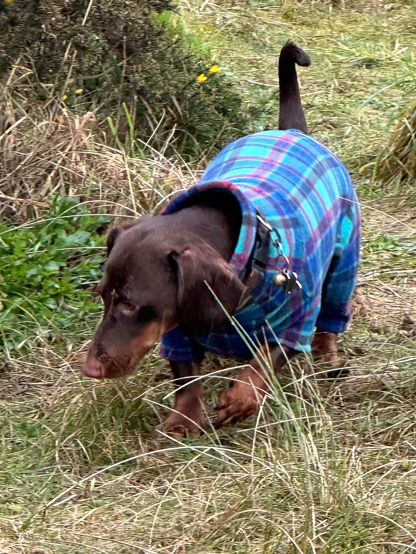 Tartan Fleece Dachshund Onesie: Water Repellent Dog Jumpsuit