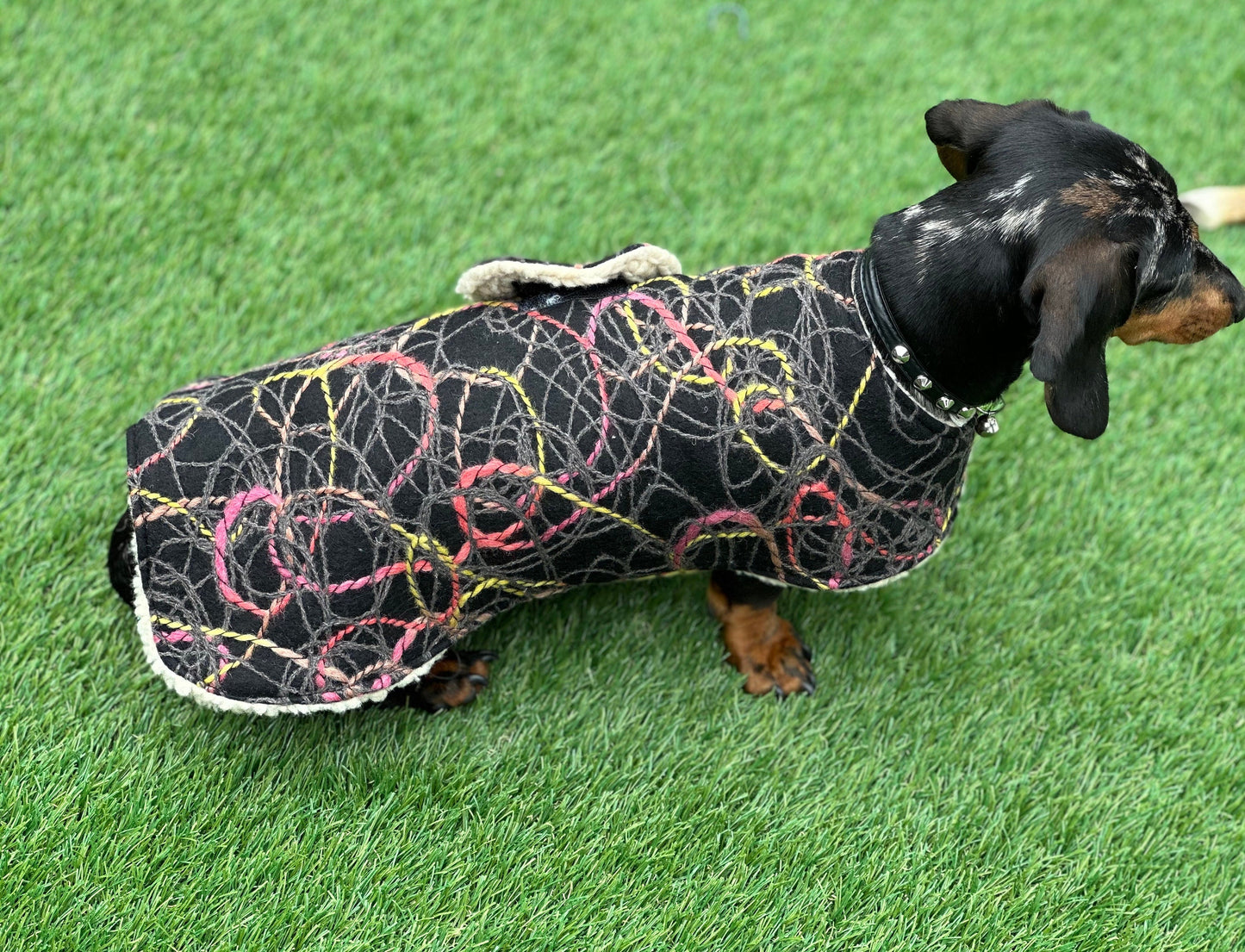 Tweed Dachshund Dog Coat: Sherpa Fleece Lined, Handmade Winter Jacket