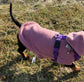 Waterproof Dachshund Hoodie: Fleece Lined, Mud Repellent Soft Shell