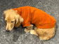Water Repellent Dachshund Fleece Jumper: Warm & Breathable Dog Polo