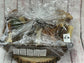 Natural Dog Treat Mega Hamper: Cornish K9 Variety Box