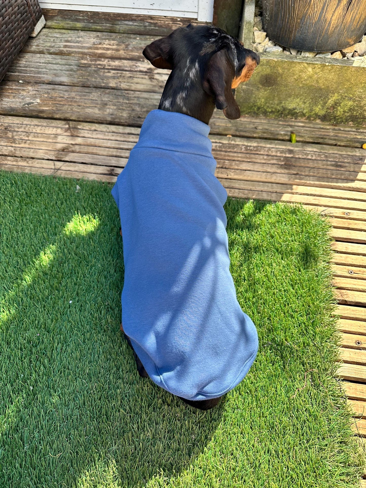 Dachshund Fleece Sweatshirt: Washable Dog Jumper