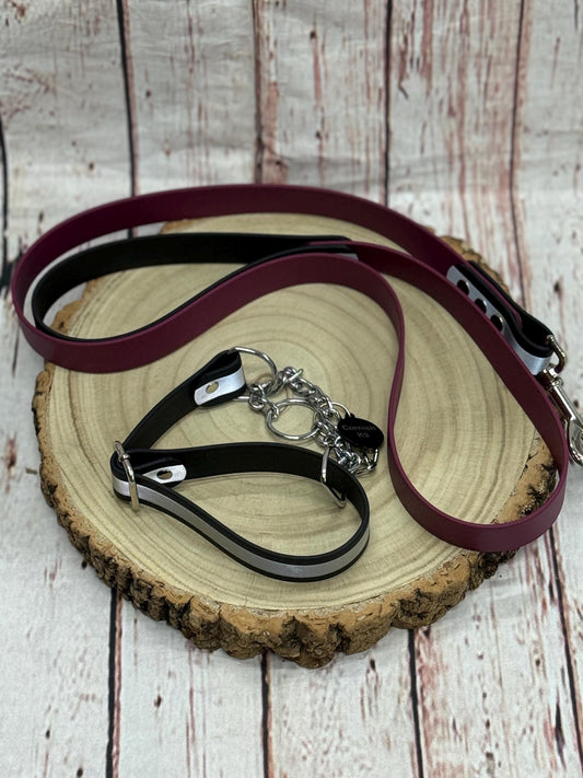 Waterproof Biothane Dog Collar & Lead Set: Silver Hardware, Medium (13-16 inch