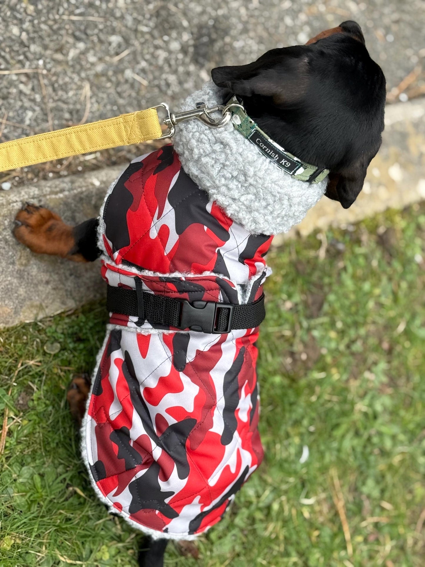 Waterproof Quilted Dachshund Coat: Sherpa Fleece Lined Winter Dog Coat