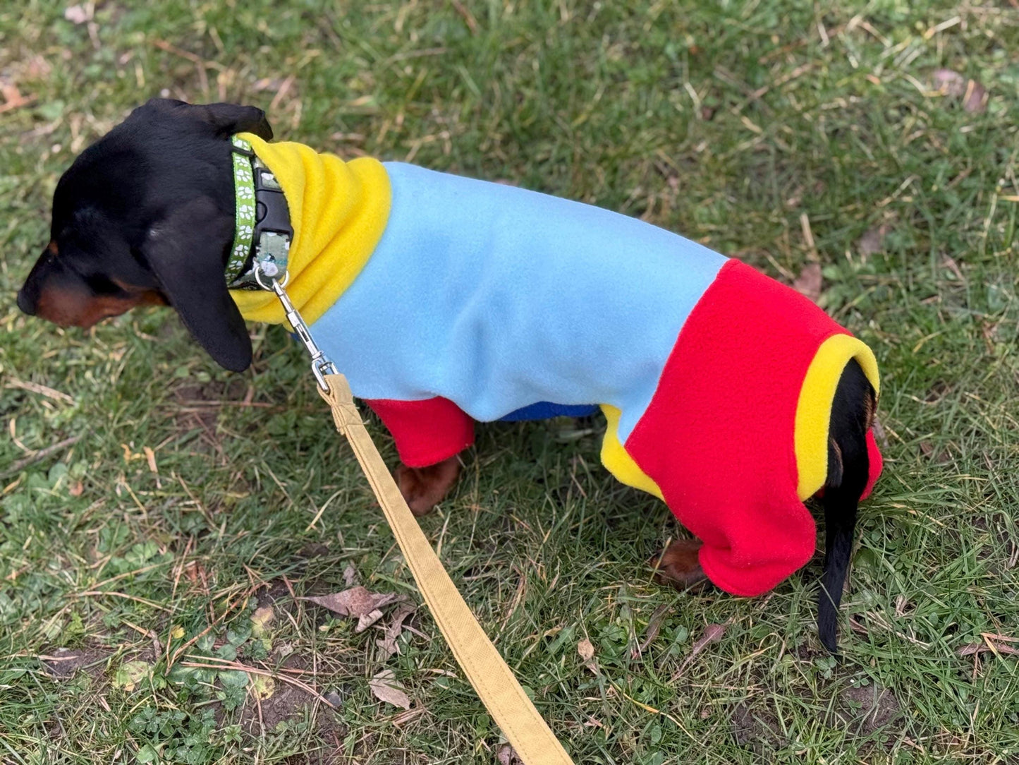 Miniature Dachshund Fleece Onesie: Water Repellent Dog Jumpsuit