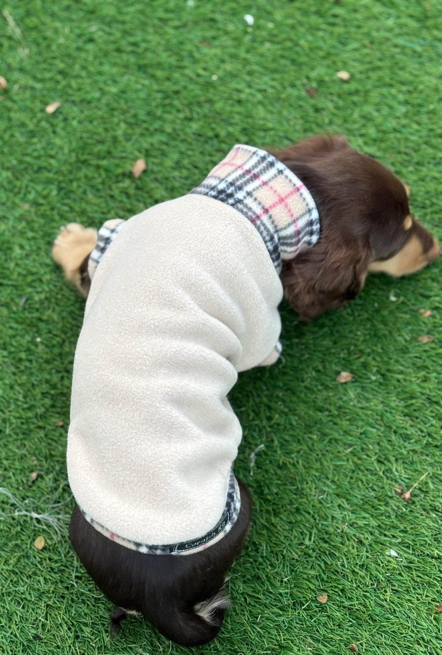Beige Tartan Dachshund Fleece Jumper: Water & Mud Repellent