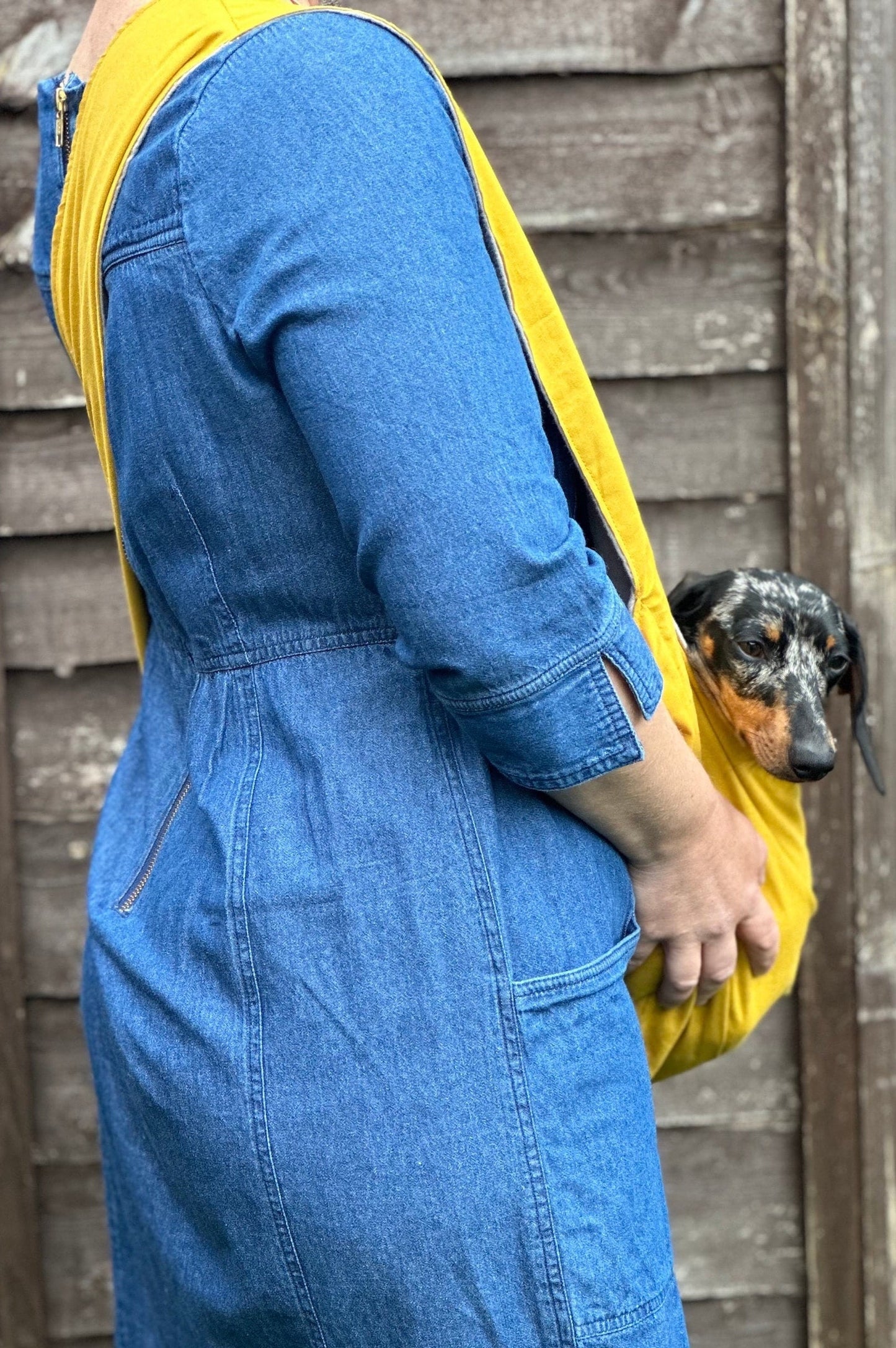 Dog  sling carrier,dachshund sling,small dog sling ,light weight sling,spring/summer sling,Italian greyhound sling