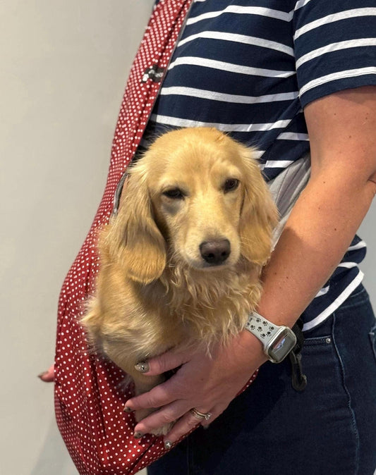 Polka Dot Dog Sling: Lightweight Cotton Puppy Carrier