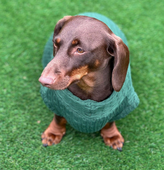 Cable Knit Dachshund Jumper: Soft Jersey Fleece, Cornish K9