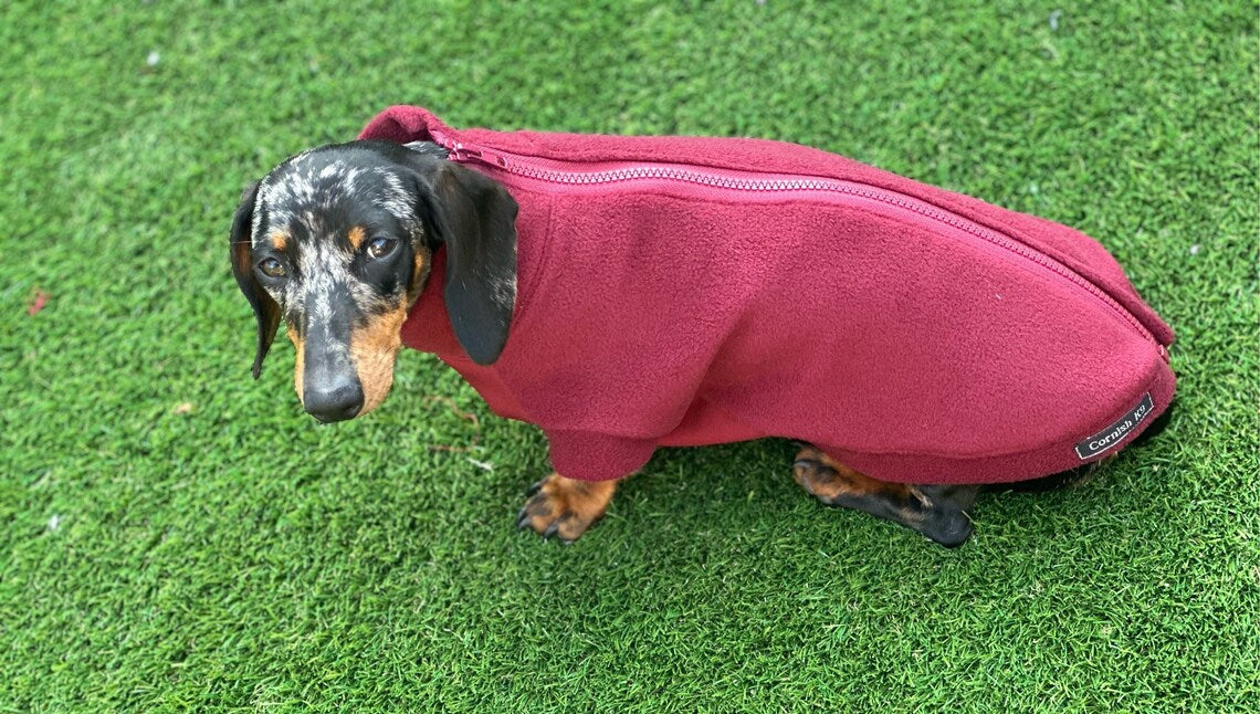 Waterproof Softshell Dachshund Fleece Jumper: Zipped Warm Dog Coat