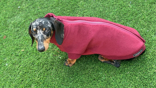 Waterproof Softshell Dachshund Fleece Jumper: Zipped Warm Dog Coat