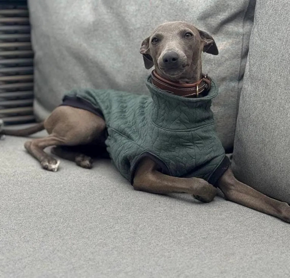 Cable Knit Fleece Italian Greyhound Jumper: Cozy Thermal Dog Fleece.