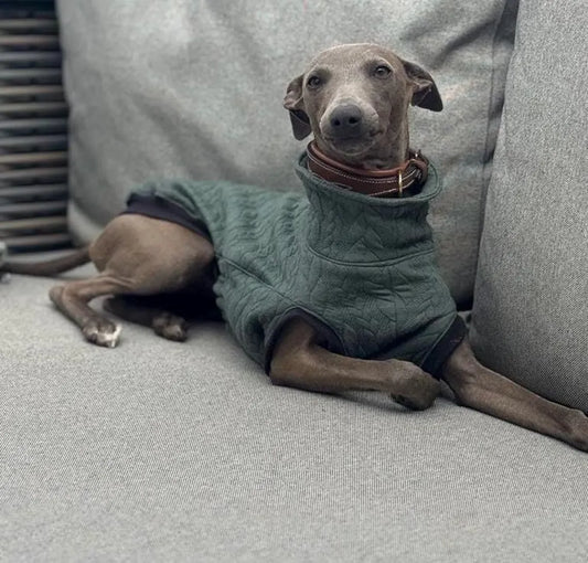 Cable Knit Fleece Italian Greyhound Jumper: Cozy Thermal Dog Fleece.
