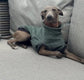 Cable Knit Fleece Italian Greyhound Jumper: Cozy Thermal Dog Fleece.