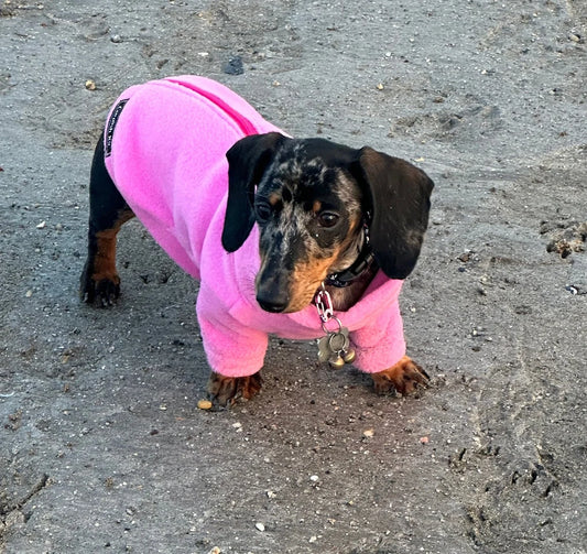 Water Repellent Dachshund Fleece Jumper: Long Leg Zip-Up.