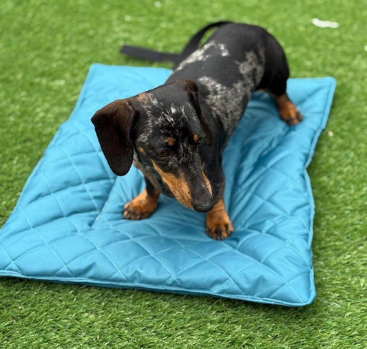 Waterproof Quilted Dog Travel Mat: Roll-Up Picnic Pad