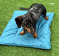 Waterproof Quilted Dog Travel Mat: Roll-Up Picnic Pad
